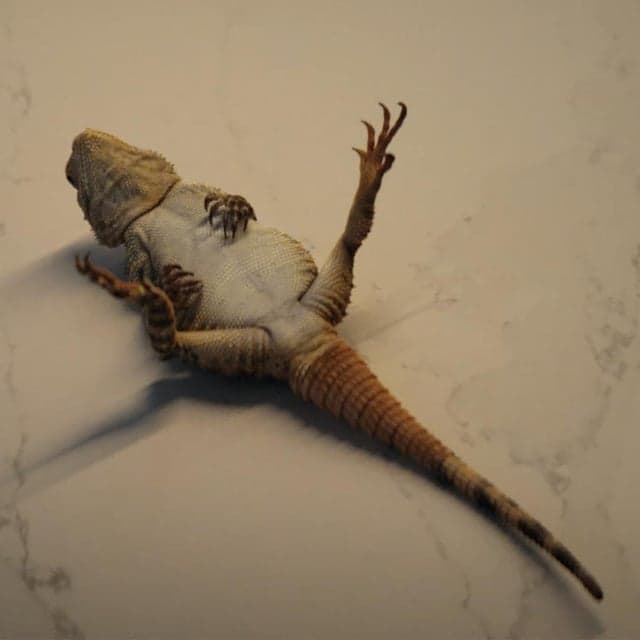 Some messages are better left unsent. Relax, it’s iPhone.