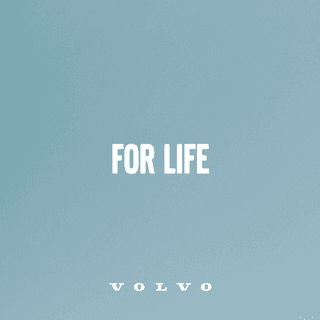 When you feel safe, you can be truly free.