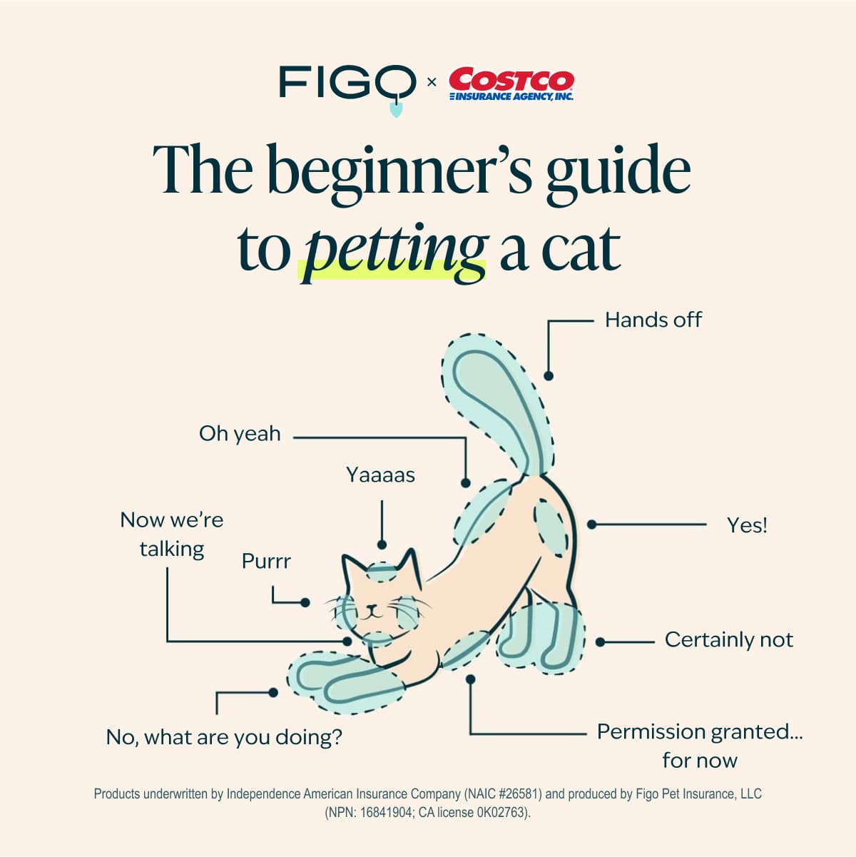 We know cats have their own personality, that's why they should have their own coverage too! 😺Learn more about Figo Pet Insurance for Costco members today!
