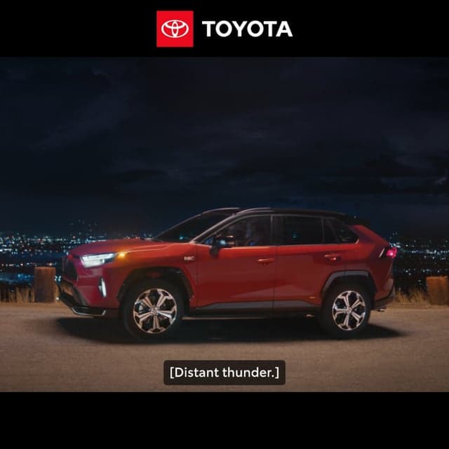 Where wander meets wonder.