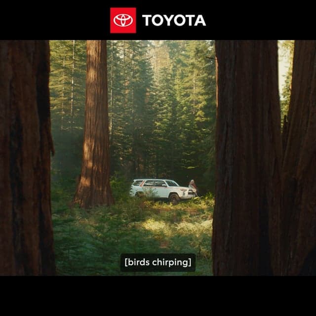 Find moments that leave you speechless.